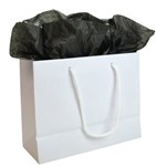 SMALL WHITE LAMINATED EUROPEAN GIFT BAG PK200 SHIPS FROM SYDNEY