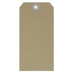 ESSELTE 38987 SHIPPING TAG NO 5 60X120MM BX1000