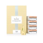TEA FORTE PYRAMID INFUSER CITRUS MINT 40 PACK SHIPS FROM SYDNEY