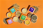 ASSORTED T2 SAMPLER PACK SYDNEY ONLY