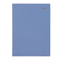 Coloured Appointment Diaries