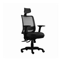 Ergonomic Chairs